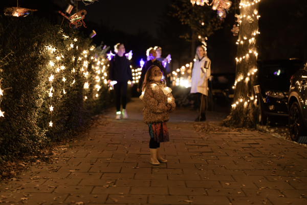 Lichtjesloop Den Helder